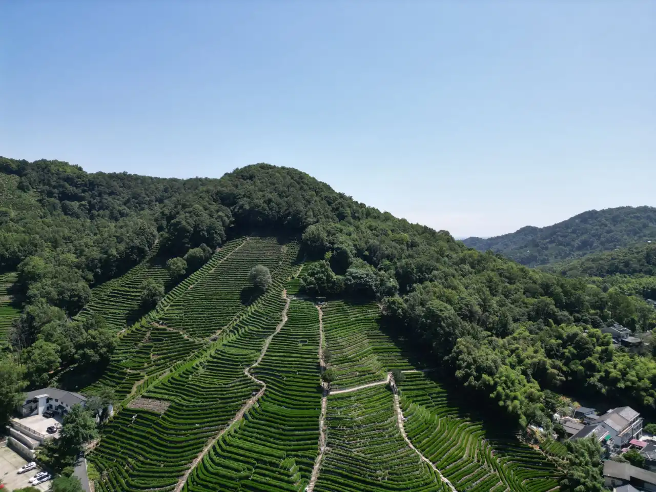 巨保朋珠宝高端定制戒指方案：翡翠镶嵌与个性化设计实例分析