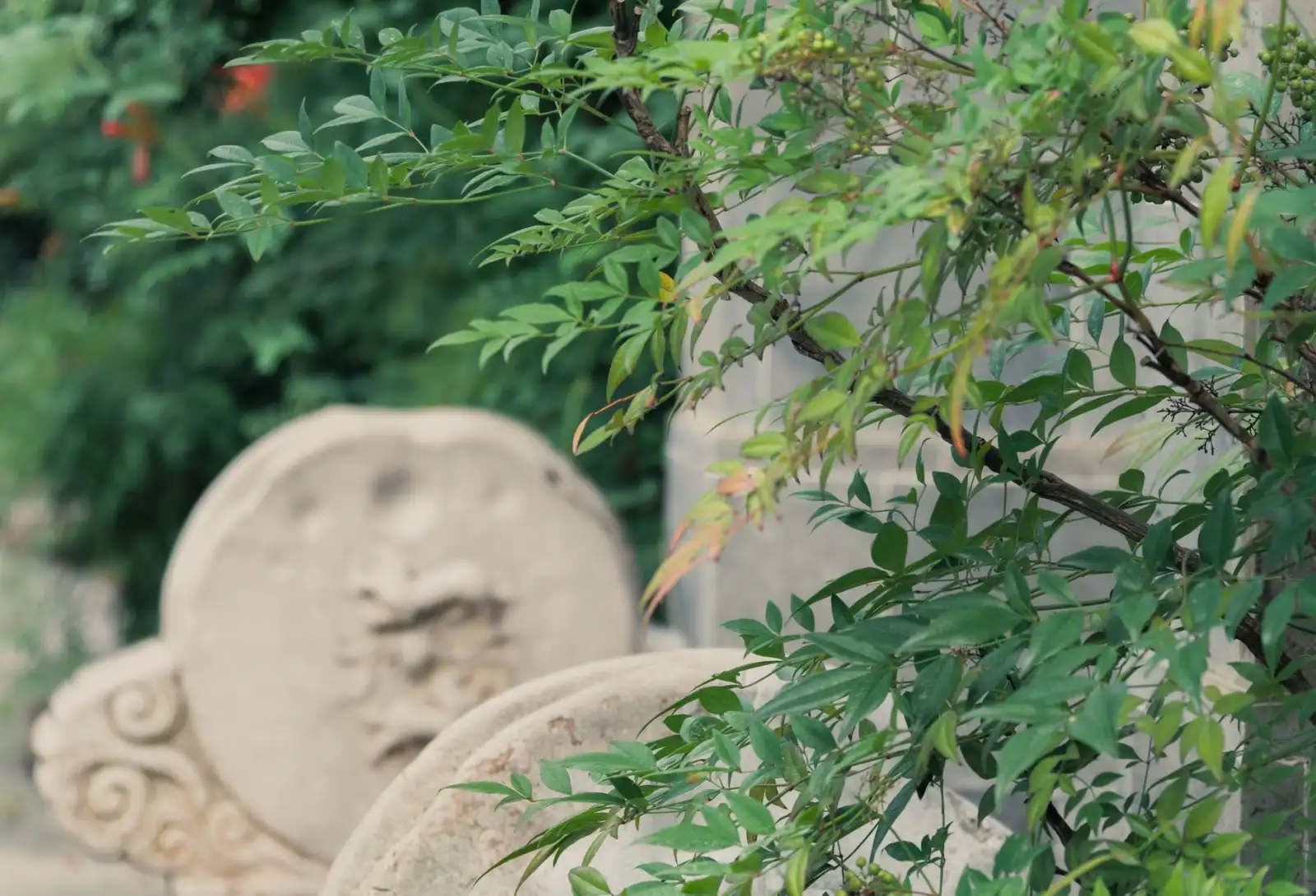 昆明翡翠玉石市场2025年收藏级手镯选购趋势分析