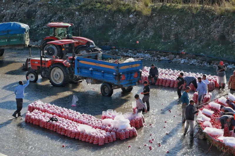 珠宝行业观察：昆明翡翠玉石市场高端定制需求持续升温